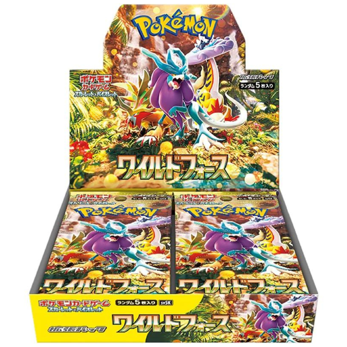 Pokemon Wild Force Box